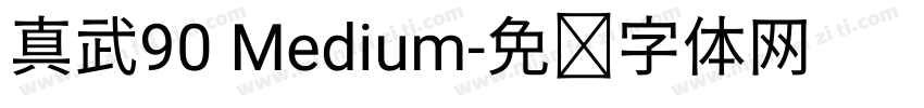 真武90 Medium字体转换